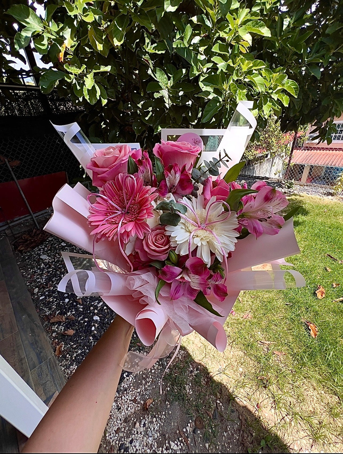 Cute Rose