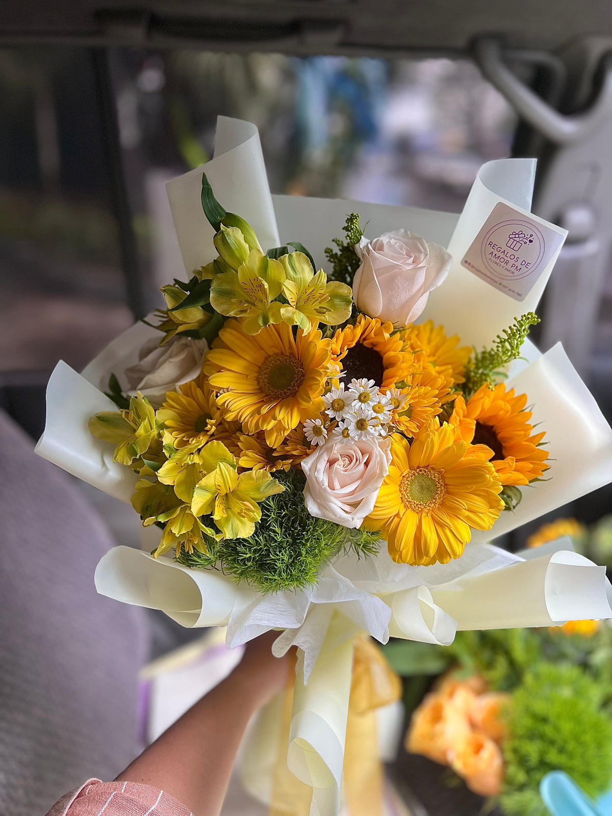 Primavera Sun