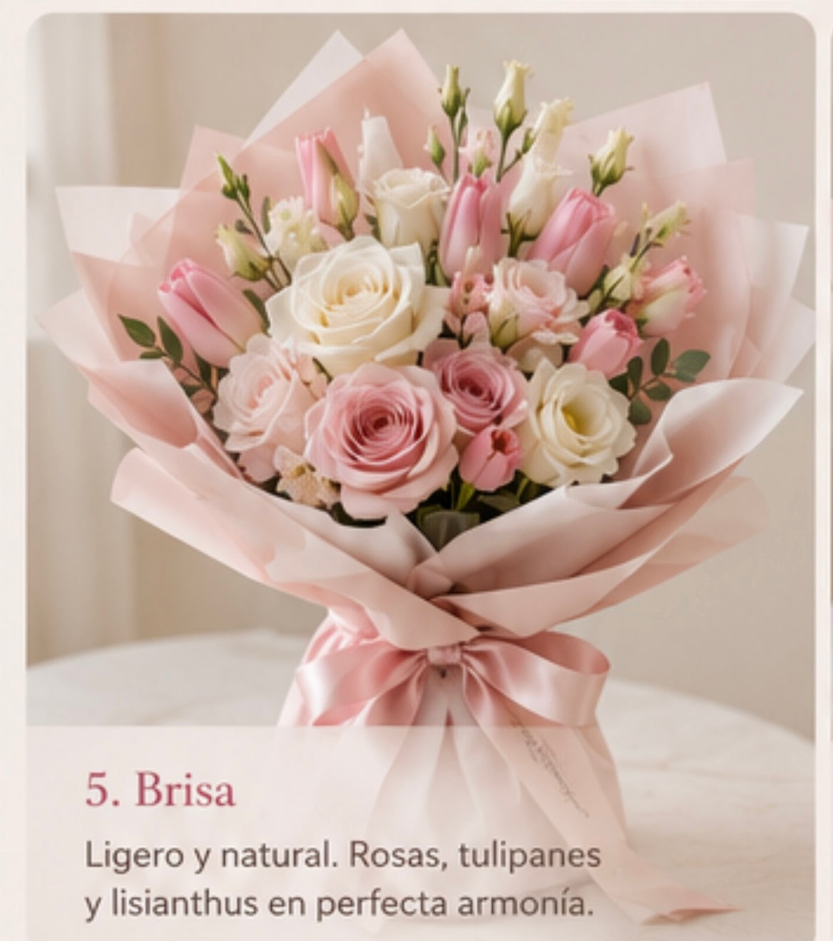 Brisa