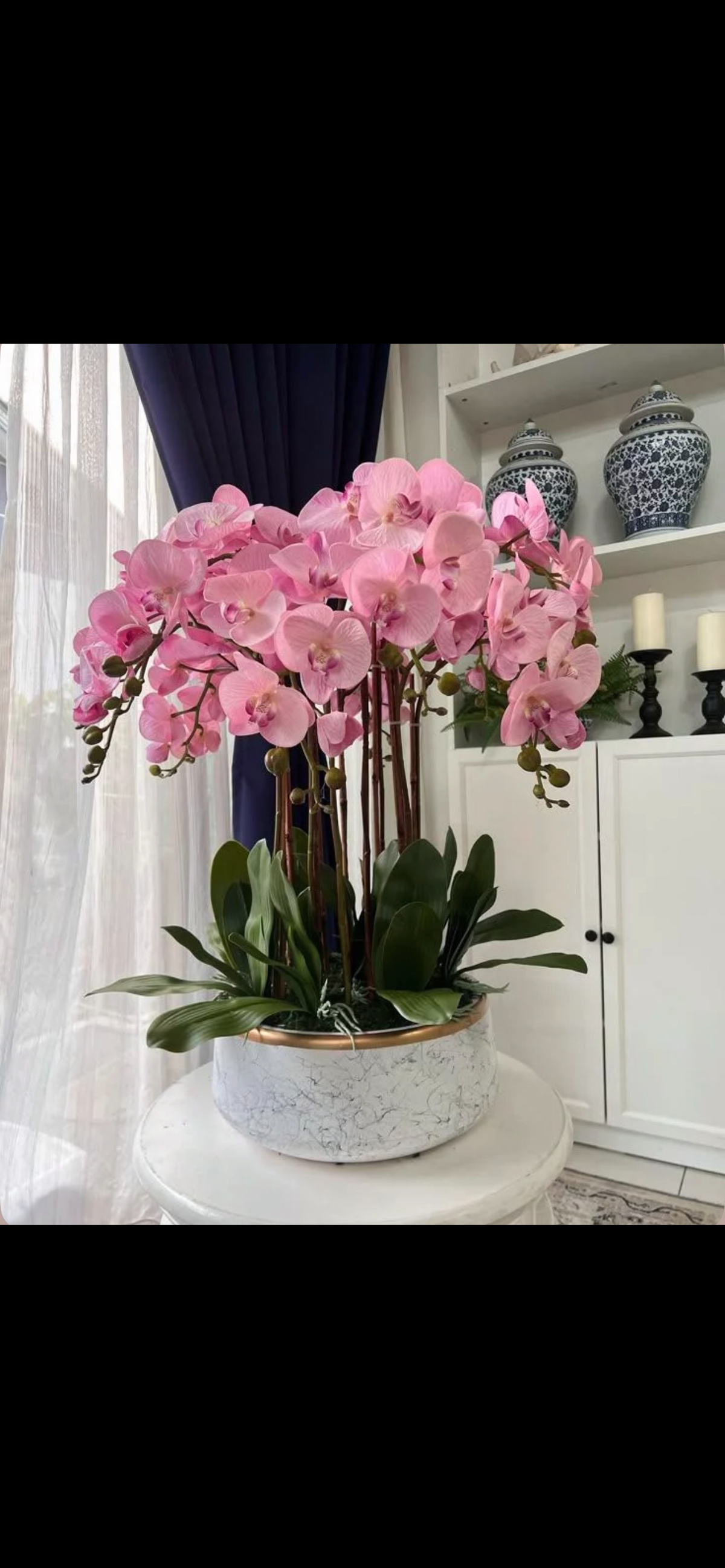 Orquídeas