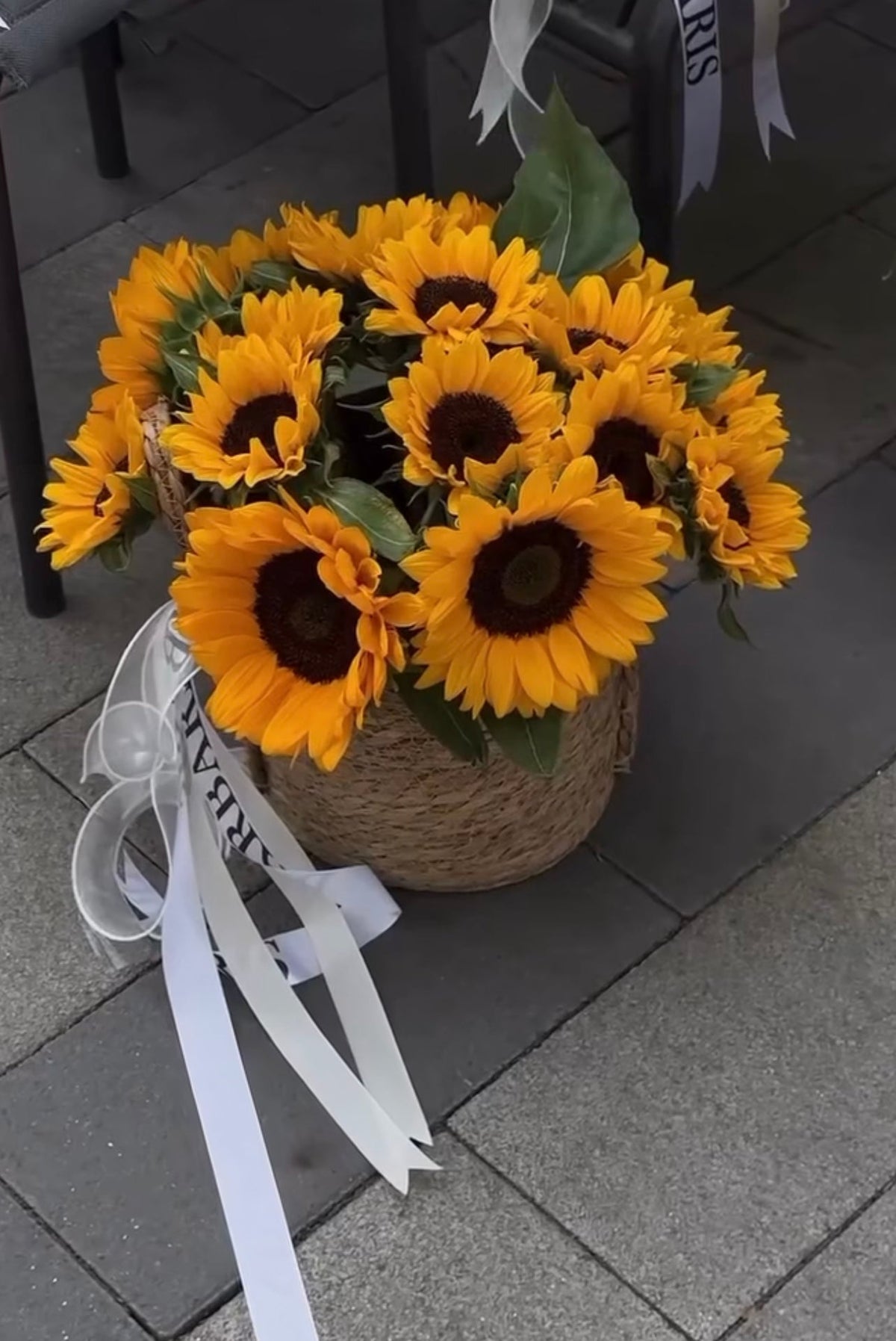 Girasoles