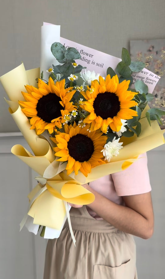 Beautiful Sunflowers 3