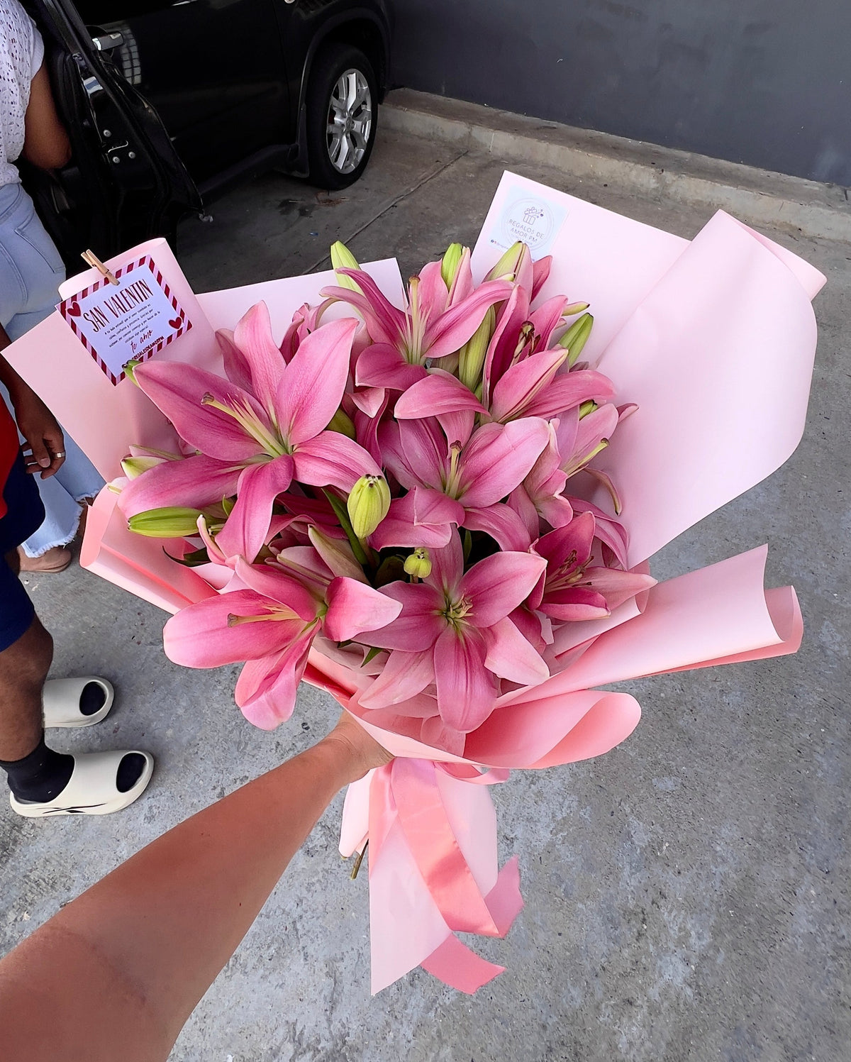 Lilys Lilys